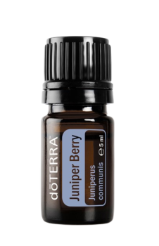 Juniper Berry (Wacholderbeere) Juniperus communis 5 ml. Flasche